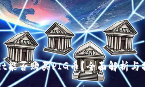 TPWallet能否购买PIG币？全面解析与操作指南