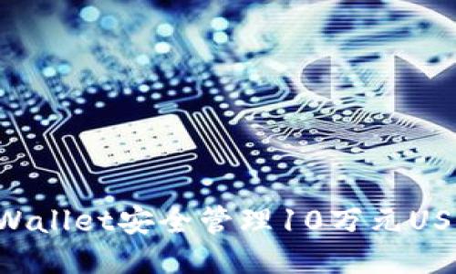 如何使用TPWallet安全管理10万元USDT：全面指南