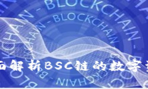 TPWallet: 全面解析BSC链的数字资产管理与应用