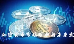 以色列加密货币市场现状与未来发展展望