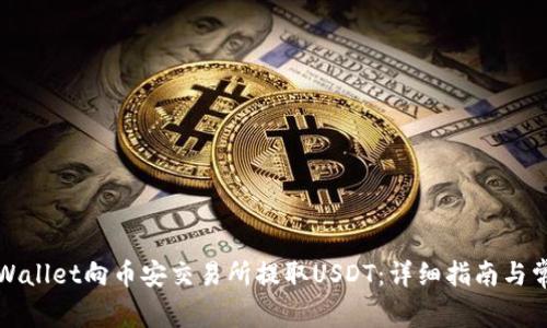 如何通过TPWallet向币安交易所提取USDT：详细指南与常见问题解答