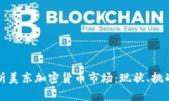 全面解析美东加密货币市场：现状、挑战与未来