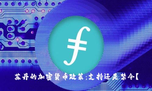 苏丹的加密货币政策：支持还是禁令？