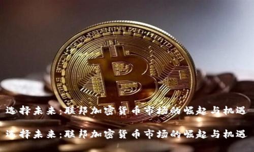 选择未来：联邦加密货币市场的崛起与机遇

选择未来：联邦加密货币市场的崛起与机遇