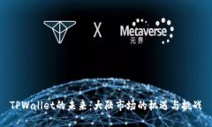 TPWallet的未来：大陆市场的机遇与挑战