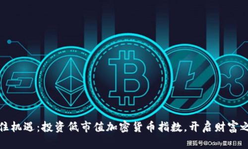 抓住机遇：投资低市值加密货币指数，开启财富之门