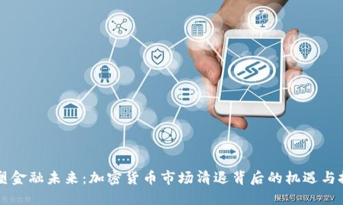 重塑金融未来：加密货币市场清退背后的机遇与挑战