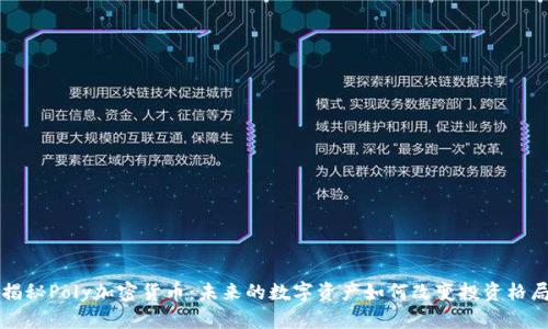 揭秘Poly加密货币：未来的数字资产如何改变投资格局