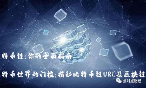 探索比特币链：你的全面指南

踏入比特币世界的门槛：揭秘比特币链URL及区块链浏览器
