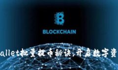 轻松掌握TPWallet批量提币秘诀，开启数字资产管理