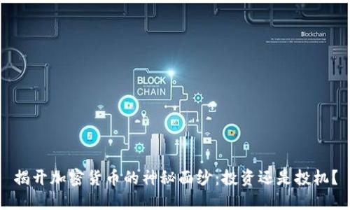 揭开加密货币的神秘面纱：投资还是投机？