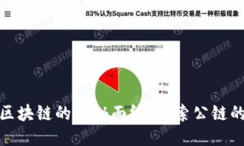 揭开比特币区块链的神秘面纱：探索公链的未来与机遇