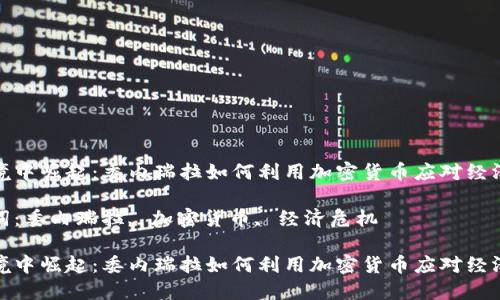 在困境中崛起：委内瑞拉如何利用加密货币应对经济危机

关键词：委内瑞拉, 加密货币, 经济危机

在困境中崛起：委内瑞拉如何利用加密货币应对经济危机