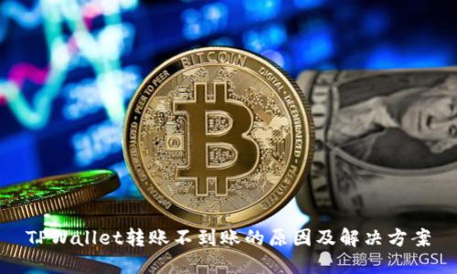 TPWallet转账不到账的原因及解决方案