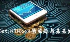  TPWallet：HTMoon的崛起与未来发展探讨