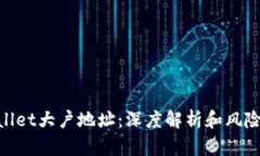 tpwallet大户地址：深度解析和风险规避