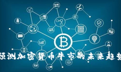 预测加密货币牛市的未来趋势