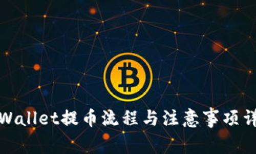 TPWallet提币流程与注意事项详解