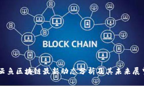 云鱼区块链最新动态分析及其未来展望