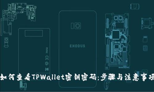 如何查看TPWallet密钥密码：步骤与注意事项
