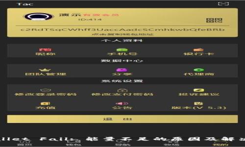 TPWallet Fail: 能量不足的原因及解决方案