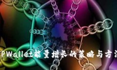 TPWallet能量增长的策略与方法