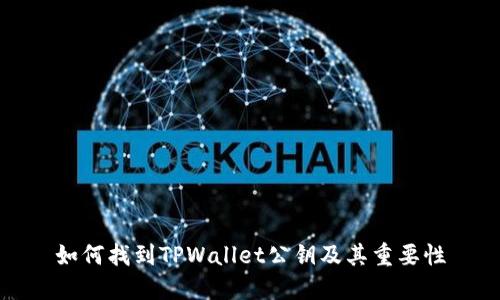 如何找到TPWallet公钥及其重要性