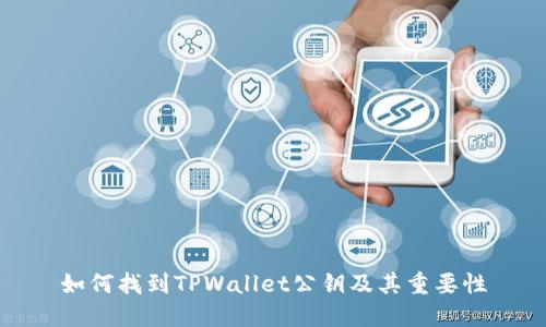 如何找到TPWallet公钥及其重要性